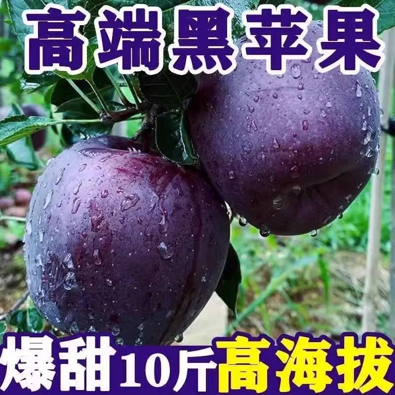 黑苹果10斤昭通黑卡黑钻紫色脆甜嘎啦不常见的新鲜水果当季一整箱