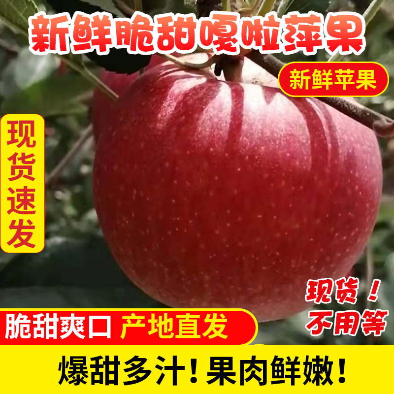 四川攀枝花嘎啦果苹果当季新鲜水果红富士冰糖心加力平果10斤包邮