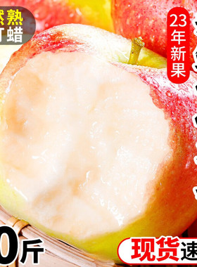 陕西嘎啦苹果红富士10斤水果新鲜应当季整箱嘎啦苹果冰糖心非顺丰
