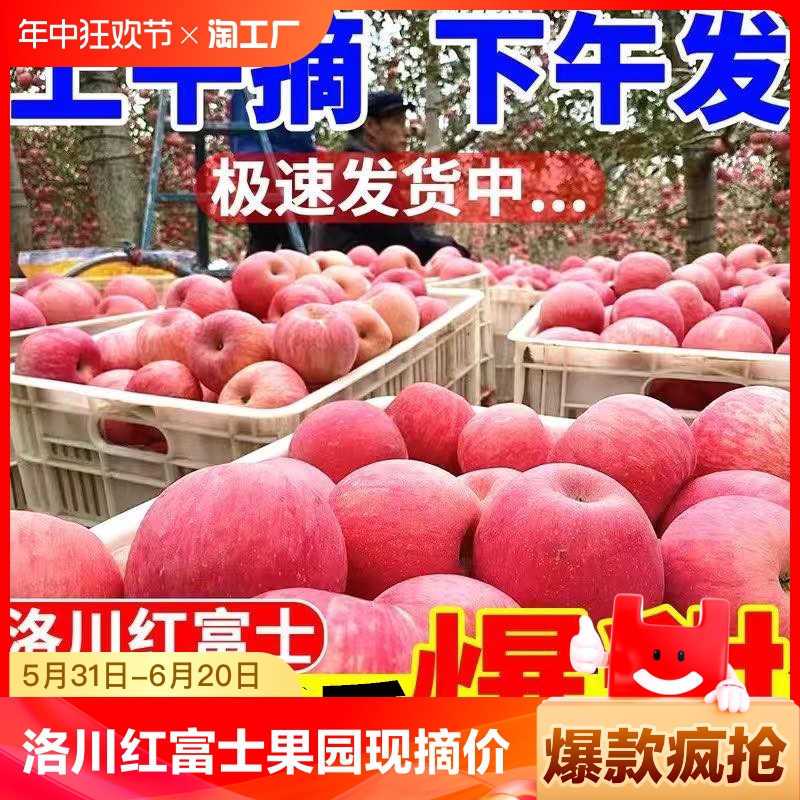 陕西红富士苹果洛川苹果水果新鲜当季脆甜丑苹果整箱10斤冰糖心
