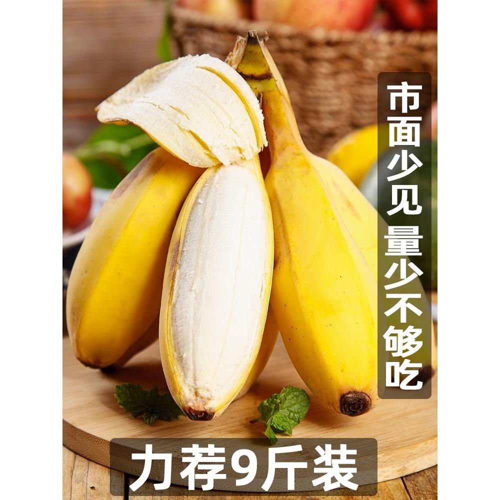广西小米蕉当季水果新鲜10斤自然熟banana整箱苹果蕉香蕉芭蕉包邮