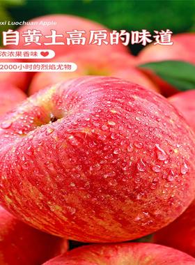 陕西洛川苹果红富士10斤新鲜时令水果当季整箱甜冰糖心萍果丑