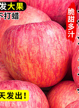 正宗陕西延安洛川苹果10水果新鲜当季整箱红富士脆甜果斤平果包邮