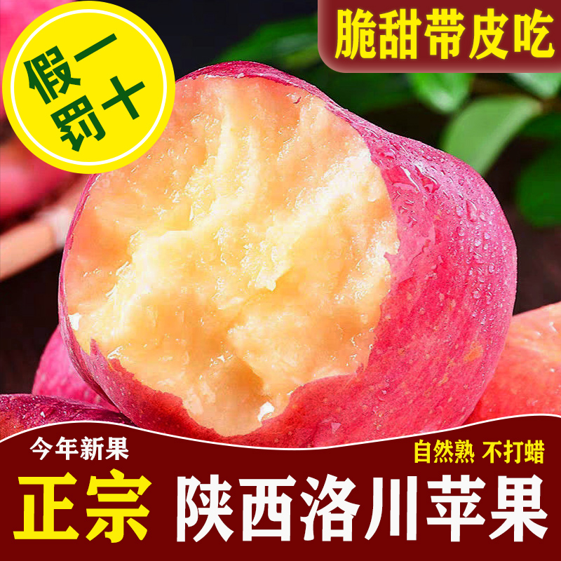 洛川苹果陕西正宗脆甜红富士新鲜水果孕妇当季一级冰糖心10斤整箱