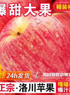 陕西洛川苹果正宗红富士苹果脆甜新鲜10斤整箱冰糖心当季孕妇水果