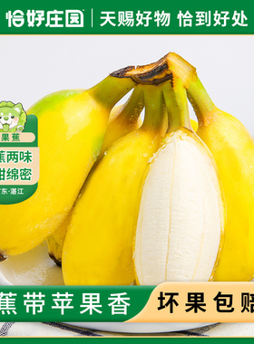 【恰好庄园】广东苹果蕉3/5斤新鲜水果小甜蕉当季时令整箱包邮