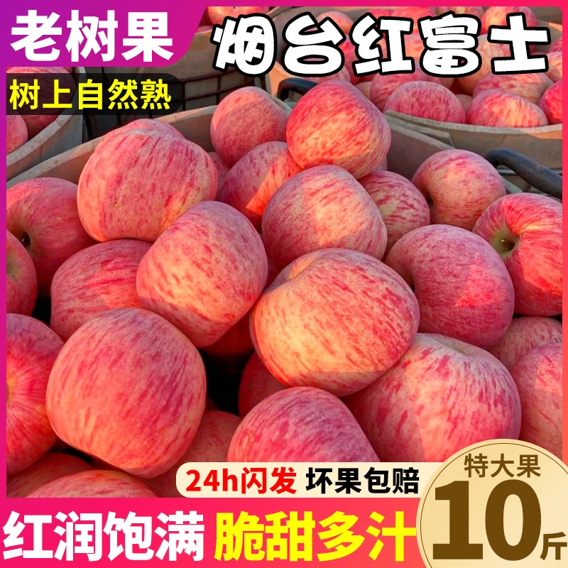 斤水果应季苹果丑红富士9平果10烟台新鲜现摘甜整箱现发脆