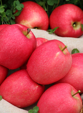 汇承瑞香红苹果小果同城新鲜当季水果红富士果园现摘直发包邮4斤