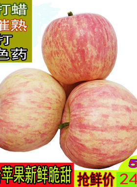 山东苹果水果新鲜当季烟台栖霞红富士脆甜特产整箱5斤包邮吃的
