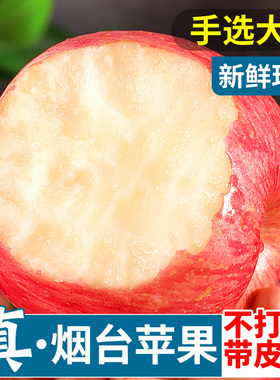 烟台红富士苹果水果5斤当季整箱正宗山东栖霞新鲜苹果包邮