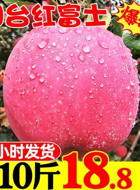山东烟台红富士苹果水果新鲜当季整箱应季一级特产10斤栖霞5包邮