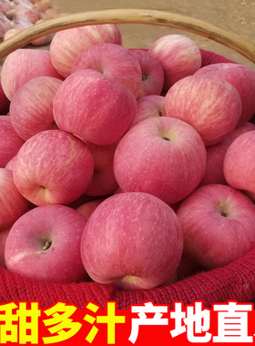 山东烟台苹果水果新鲜应季红苹果红富士带箱5斤包邮糖心苹果整箱