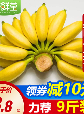 广西小米蕉当季水果新鲜1-9斤绿皮需催熟banana整箱苹果香蕉芭蕉5