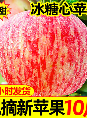 23年新苹果水果整箱10斤5斤新鲜正宗当季山西红富士整箱脆甜丑孕