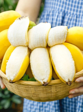 正宗广西苹果蕉芭蕉新鲜水果当季5/9斤整箱自然熟树上熟新鲜现摘