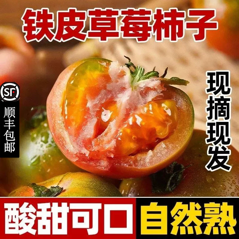 丹东盐碱地铁皮柿子草莓柿子5斤绿腚碱地油柿铁皮西红柿水果番茄