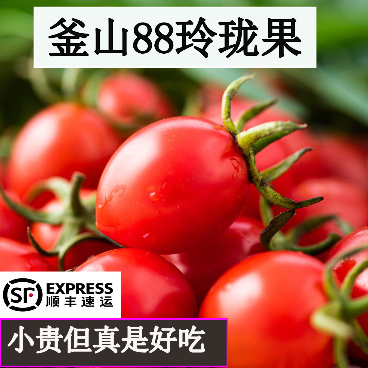 釜山88圣女果正宗超千禧西红柿水果新鲜现摘山东超甜自然熟小番茄