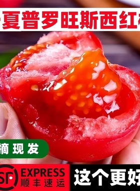 西红柿新鲜自然熟普罗旺斯农家生吃沙瓤水果老品种番茄蔬菜宁夏