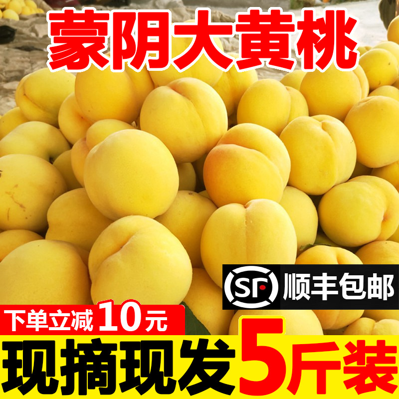 黄桃新鲜水果应当季时令脆毛鲜甜黄金蜜桃大桃子5斤整箱锦绣现摘