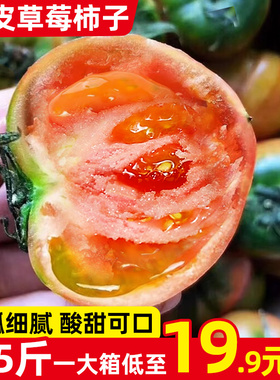 正宗迷彩水果西红柿5斤新鲜自然熟绿腚番茄丹东铁皮草莓柿子蔬菜