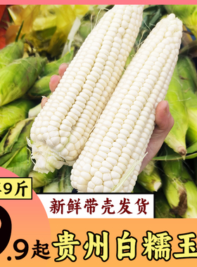 贵州新鲜玉米白糯玉米现摘带皮黏玉米棒子苞米糯包谷农家当季包邮