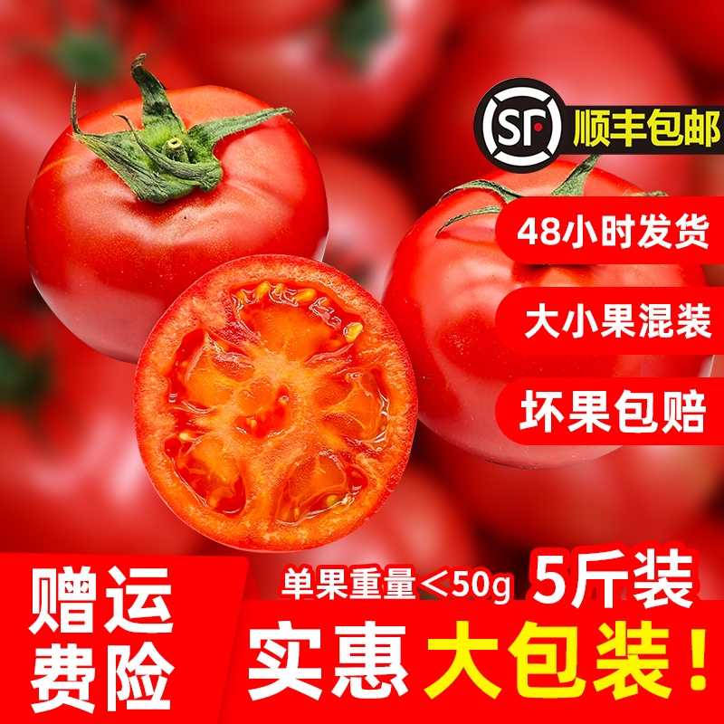 嘉红100番茄富含维C新鲜好吃孕妇可食西红柿水果大包散装顺丰包邮