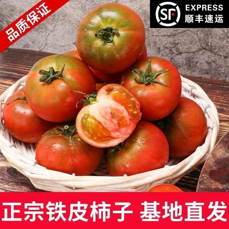 丹东盐碱地铁皮柿子草莓柿子5斤绿腚油柿子铁皮西红柿水果番茄