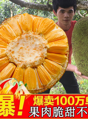 越南红肉菠萝蜜新鲜水果包邮波罗蜜当季三亚红肉菠萝蜜整个6-20
