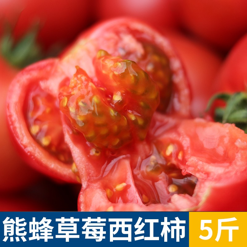 新鲜草莓西红柿5斤水果沙瓤自然熟孕妇纯生吃天然蔬菜草莓番茄