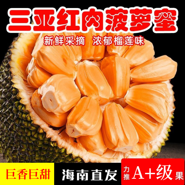 稀有新品种海南三亚红肉菠萝蜜干包菠萝蜜一整个热带水果现摘包邮
