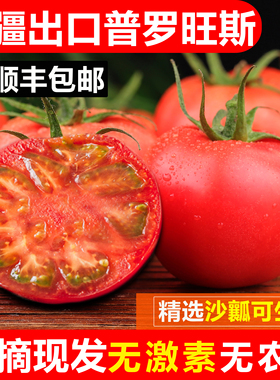 新疆普罗旺斯西红柿新鲜自然熟非铁皮柿子5斤沙瓤孕妇水果蔬番茄