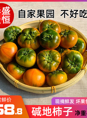 正宗盘锦碱地草莓柿子 丹东大连鹰爪西红柿生吃即食水果番茄礼盒