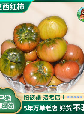 【甄选果径】铁皮柿子新鲜草莓番茄丹东水果西红柿自然熟盘锦碱地