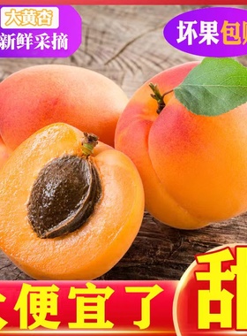 陕西大黄杏子新鲜水果5斤当季酸甜杏子特大金太阳杏青绿整箱包邮