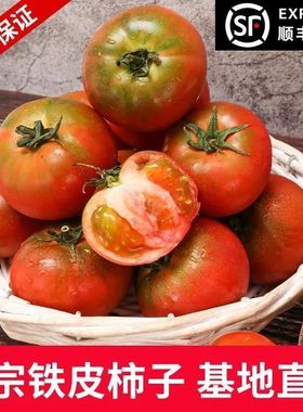 丹东盐碱地铁皮柿子草莓柿子5斤绿腚油柿子铁皮西红柿水果番茄
