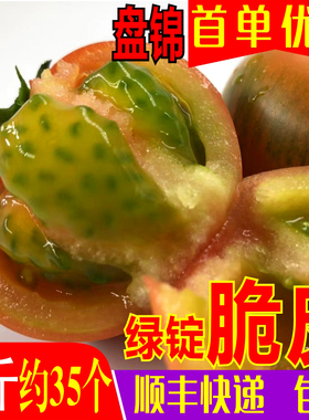 盘锦碱地铁皮柿子西红柿新鲜绿腚鹰爪脆丹东草莓番茄水果5 斤产地