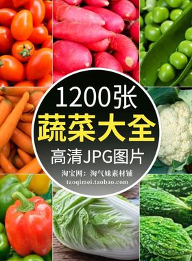 高清JPG蔬菜背景图片绿色果蔬青菜大全生鲜超市美团外卖海报素材