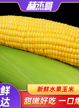 水果玉米新鲜现摘爆浆鲜玉米棒子甜玉米嫩玉米生的生鲜蔬菜10斤