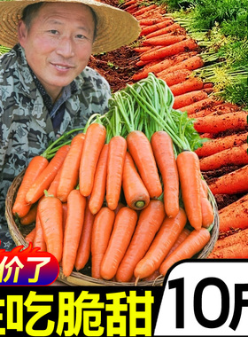 新鲜水果胡萝卜10斤红萝卜红皮萝卜蔬菜农家自种现挖带泥批发包邮