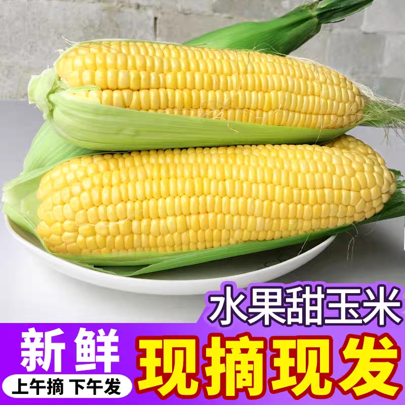 应季新鲜现摘水果玉米9斤生吃甜玉米棒子爆浆甜糯苞谷米蔬菜2斤