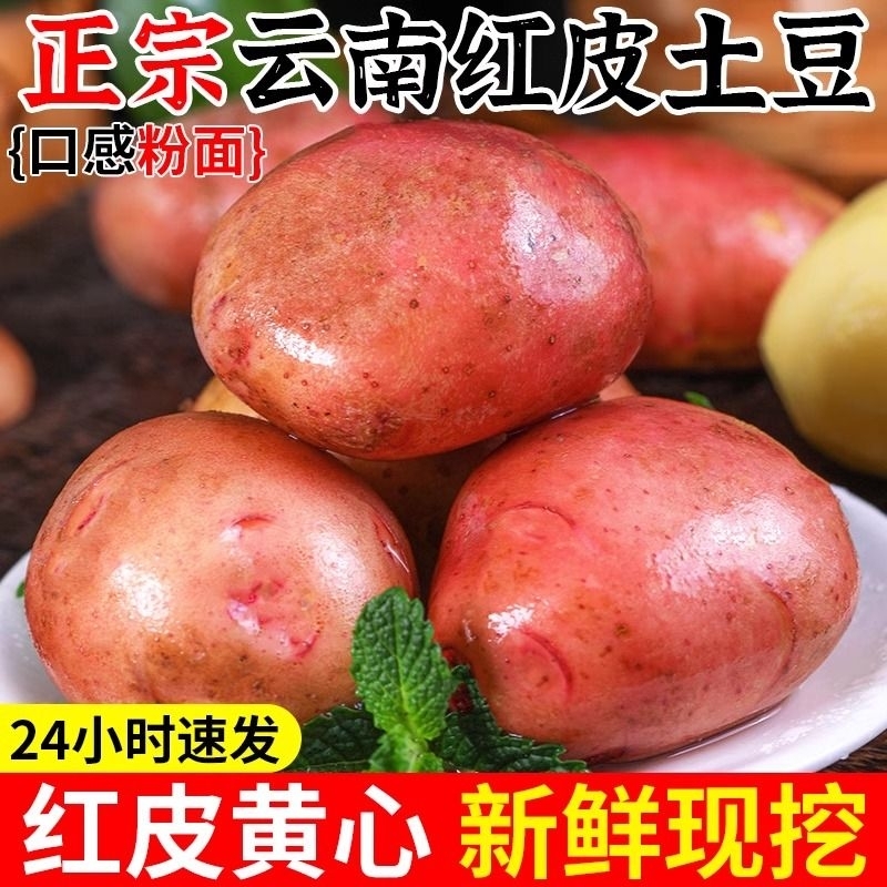 云南土豆9斤新鲜蔬菜小土豆马铃薯洋芋红皮土豆黄心土豆整箱包邮