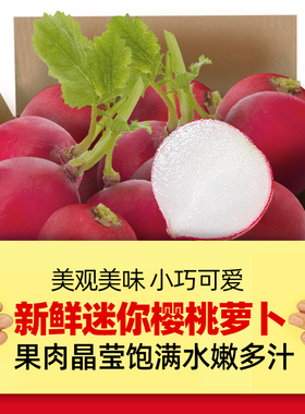 云南新鲜樱桃萝卜5-9斤迷你小红萝卜水果圆萝卜生吃蔬菜沙拉食材