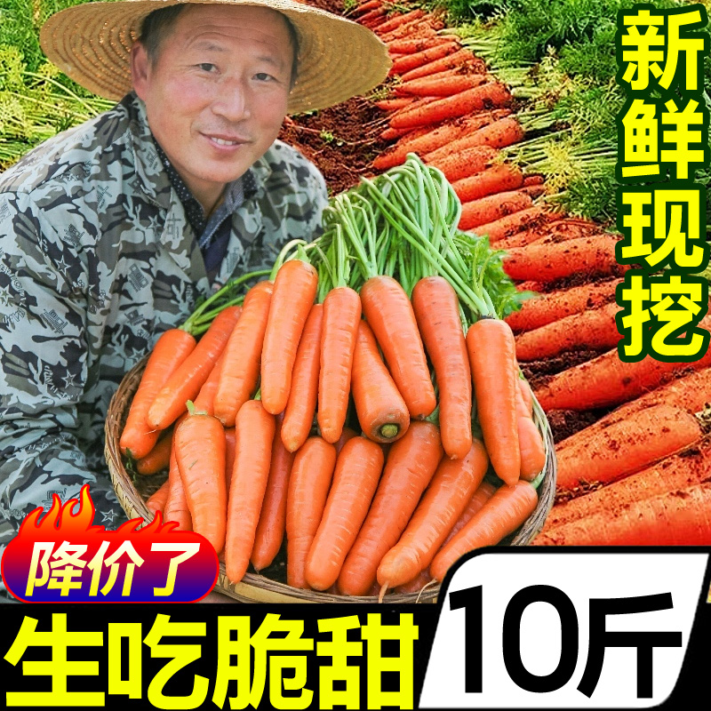 新鲜水果胡萝卜10斤红萝卜红皮萝卜蔬菜农家自种现挖带泥批发包邮