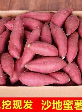 【抢购中】产地直发超甜沙地红薯新鲜红蜜薯板栗薯地番薯蔬菜