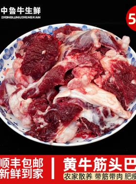 清真5斤筋头巴脑牛碎肉生鲜牛肉筋国产黄牛剔骨牛肉炖肉红烧火锅