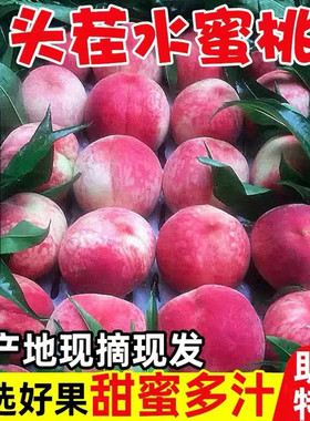 桃子新鲜水果当季整箱10斤脆甜红心红肉血桃水蜜桃毛桃时令5现摘