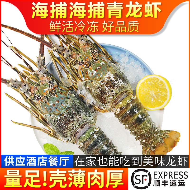 大龙虾青龙虾3只各0.8-1斤海鲜鲜活冷冻水产黑虎虾小龙虾大波龙