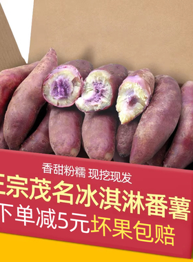 正宗广东茂名现挖冰淇淋地瓜10斤装紫薯新鲜板栗红薯番薯蜜薯山芋