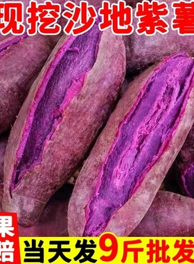 紫薯新鲜板栗红薯番薯地瓜蜜薯糖心10斤山芋烟薯蔬菜农家自种沙地