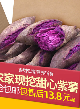 新鲜糖心紫薯5斤新鲜板栗红薯番薯地瓜蜜薯山芋烟薯蔬菜农家10